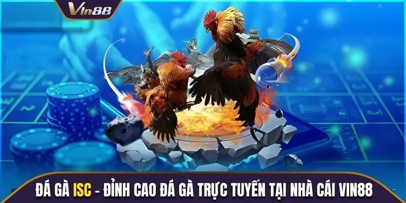 đá gà ISC